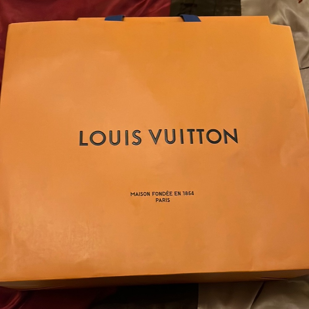 Louis Vuitton men causal black shoes only worn once.